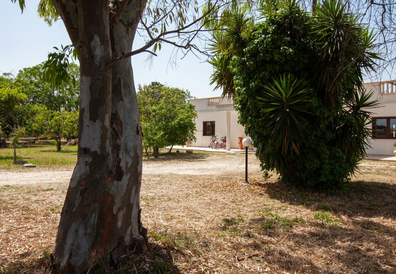 Villa in Carpignano Salentino - Villa Schwimmbad Garten Trulli Photovoltaik-Brunnenkasten V900