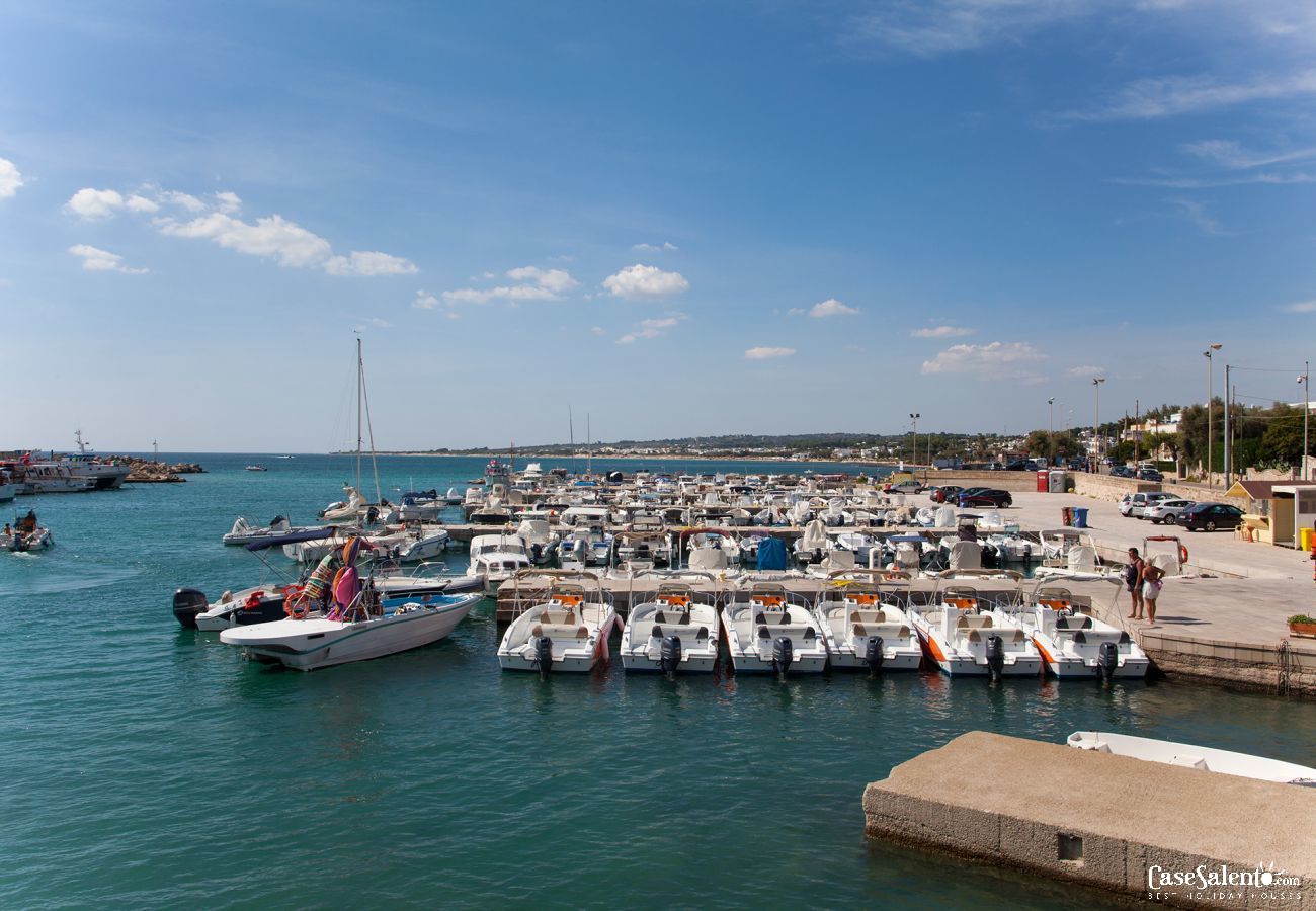 Maison à Torre Vado - Appartement-terrasse avec vue sur la mer à Torre Vado, près des plages de Pescoluse m601