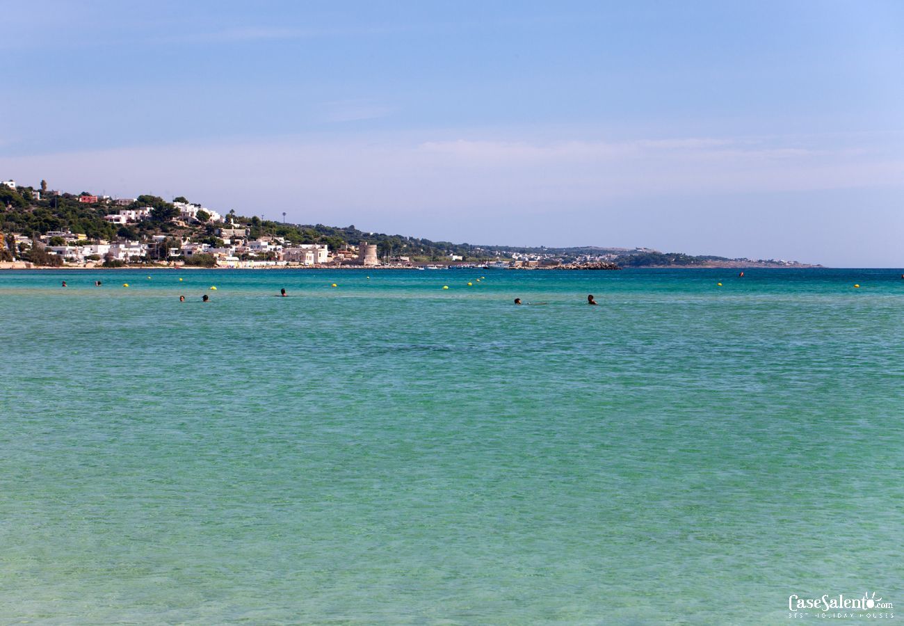 Maison à Torre Vado - Appartement-terrasse avec vue sur la mer à Torre Vado, près des plages de Pescoluse m601